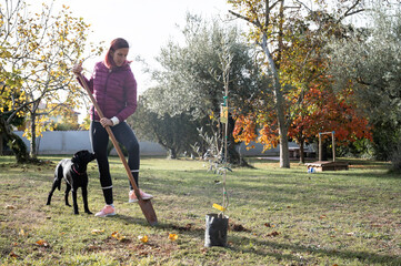 Planting a new beginning