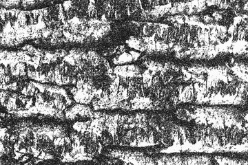 Abstract wood PNG pattern with texture for interior backgrounds and line art. Graphic elements...