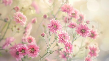 Fototapeta premium Pink botanical style pink flowers on light background with soft natural lighting