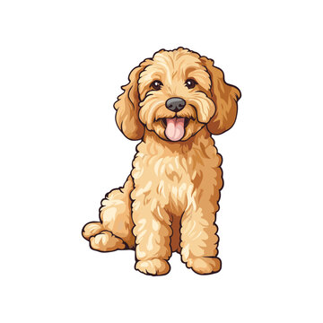Vector golden doodle dog. Set of goldendoodle dogs for graphic, content, etc. Cute golden labradoodle puppy. Vector illustration of a dog. Vector of poodle dogs design