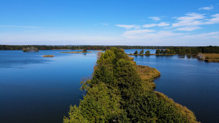 trees in water view from above lake