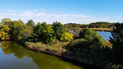 Obraz premium trees in water view from above lake