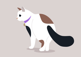 A lovely cat, with a mix of white and brown fur, stands gracefully with its colorful collar, tail lifted slightly, embodying curiosity in a serene indoor environment during a chill afternoon