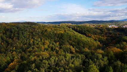 Obraz premium Autumn forest top view nature landscape