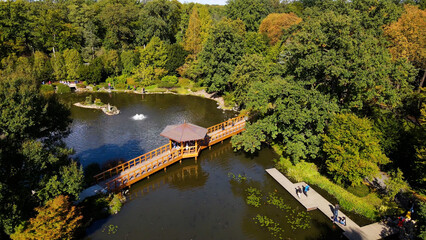 Fototapeta premium japanese garden landscape top view