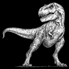 Vintage engraving isolated Tyranosaurus rex set illustration t-rex ink sketch. Dinosaur background Rex silhouette Jurassic art. Black and white hand drawn image