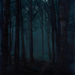 Naklejka premium night in the forest