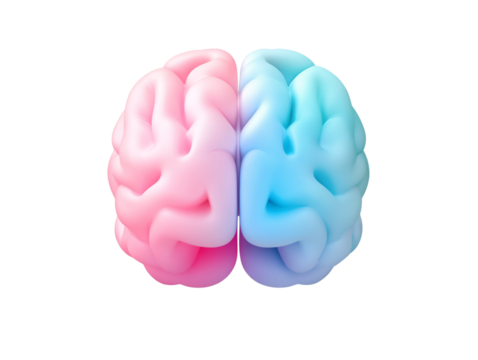 Blue and pink gradient brain, transparent background