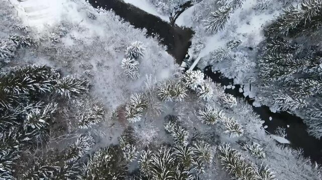 Aerial view of Gunzesrieder Tobel in deep winter, capturing winding Gunzesrieder Ach, snow-laden trees, and frozen reservoir, creating a serene and untouched mountain landscape.