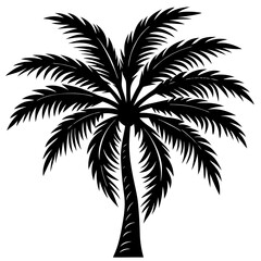 Obraz premium palm tree silhouette on White Back ground