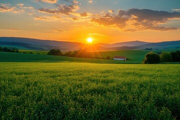 Obraz premium Golden sunset illuminates a vast green field with distant hills and a charming rural building