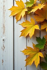 Yellow and green oak tree leaves against a white and brown wooden fence, autumn, leaf