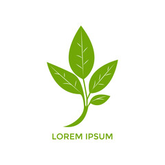 Sprout Logo Isolated White background. Vector Illustration