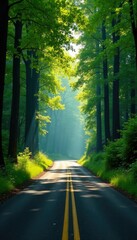 Fototapeta premium Dense foliage obstructs sunlight as trees form a tunnel on the winding road, trees, wilderness