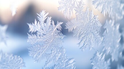 Frozen window frost patterns in soft light