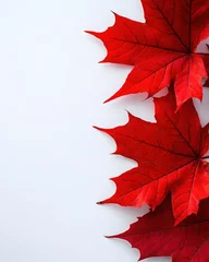 Rolgordijnen zonder boren Vivid autumn scene featuring striking red maple leaves against a clean white background space © DriftPixels