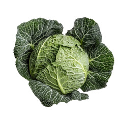 Fototapeta premium Fresh Green Cabbage Surrounded by Crisp Leaves on White Background, Perfect for Healthy Cooking, Gardening, and Nutritional Themes in Culinary Arts