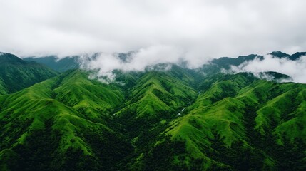 Fototapeta premium Lush green mountains enveloped in mist, showcasing a serene, natural landscape under a cloudy sky.