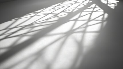 Intricate Shadow Patterns Created by Natural Light on Surface