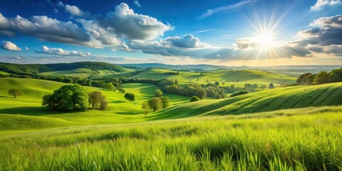 Fototapeta premium A bright sunny day in a lush green countryside landscape with rolling hills and vast fields of tall grasses swaying gently in the breeze , sunshine, rolling hills
