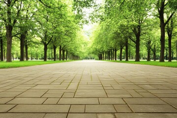Obraz premium Green Trees Line a Paved Path in the Park with Tranquil Nature Walk