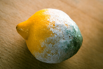 Angeschimmelte Zitrone auf Holzbrett liegend