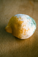 Angeschimmelte Zitrone auf Holzbrett liegend