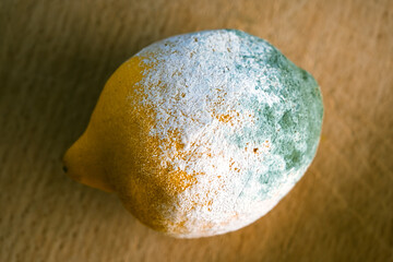 Angeschimmelte Zitrone auf Holzbrett liegend