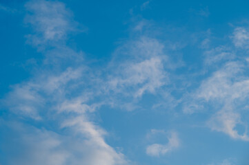 Obraz premium 青空のイメージ