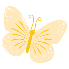 Yellow butterfly 