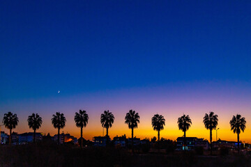 Silhouettes of palm trees on alley against a sunset sky with a crescent moon. Mediterranean, Antalya province, Turkey