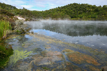 Obraz premium View at Waimangu Volcanic Valley national park in New Zealand