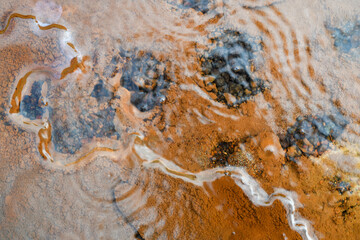 Detail at Waimangu Volcanic Valley national park in New Zealand