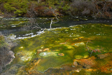 View at Waimangu Volcanic Valley national park in New Zealand