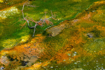 View at Waimangu Volcanic Valley national park in New Zealand