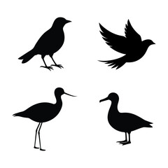 Set of Silhouettes of Birds.  Isolated on white background.