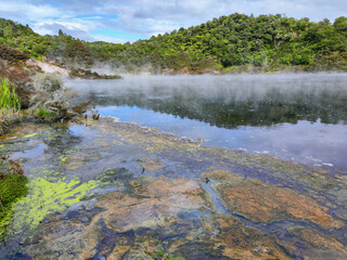 View at Waimangu Volcanic Valley national park in New Zealand