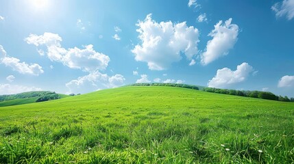 Naklejka premium A vibrant green hillside under a bright blue sky with fluffy white clouds.