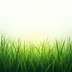 Fototapeta premium Home Garden Grass Texture - Detailed Illustration