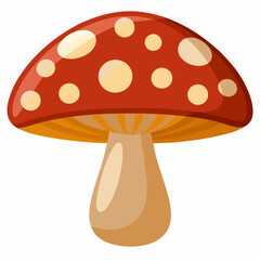 Mashroom isolated  white background 