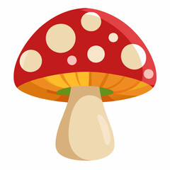 Mashroom isolated  white background 