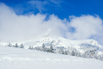 A landscape photograph of a beautiful winter wonderland in the mountains in braunwald switzerland. 