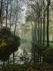 Autumn landscape of the dark forest