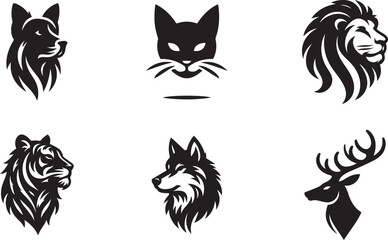 black and white cats