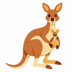 kangaroo