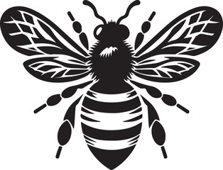 bee vector illustration