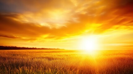 A stunning landscape showcasing a golden sunset over a sprawling field of wheat. The vibrant colors blend beautifully, creating a serene and peaceful atmosphere.