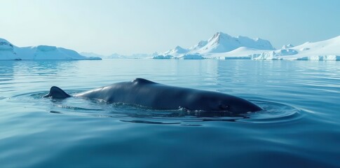 Pod of narwhals surfacing in icy Arctic waters, wild animals, arctic ocean