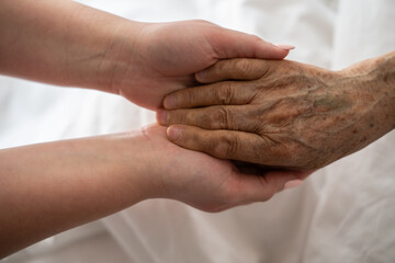Fototapeta premium A young womans hands gently hold the hands of an elderly female patient in a hospital bed, symbolizing care, support, and compassion.