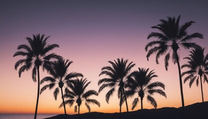 Obraz premium Monochromatic Palm Fronds on Sunset Gradient